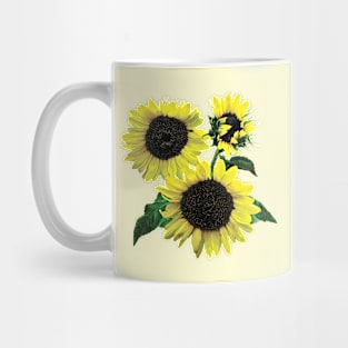 Three Sunflowers Mug